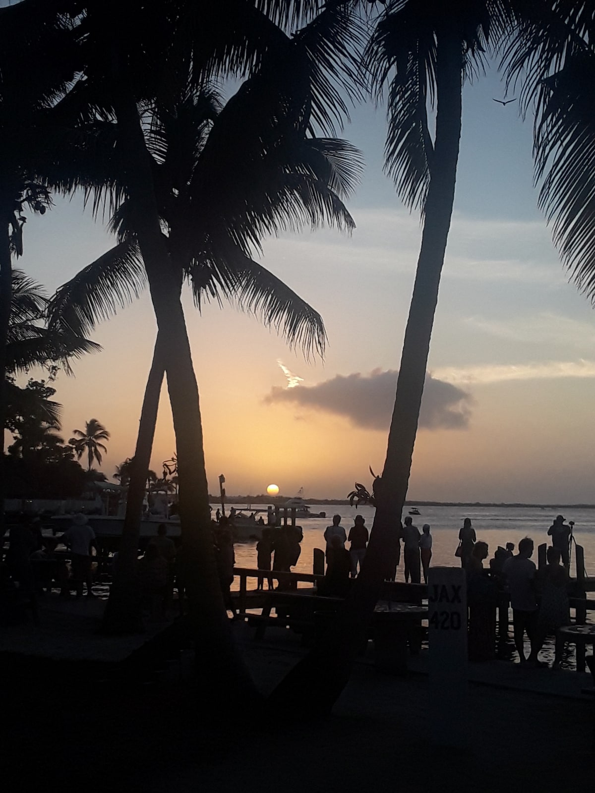 A serene sunset scene is framed by tall palm trees, with the sun setting over the horizon. Silhouetted figures gather by the water's edge, capturing the moment. The water reflects warm hues of orange and pink, enhancing the tranquil ambiance of the harbor.