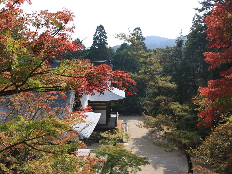 京都 赏枫第二弹 后花园高雄物语 京都旅游攻略 尽在airbnb爱彼迎 京都 赏枫第二弹 后花园高雄物语 京都旅游攻略 尽在airbnb爱彼迎