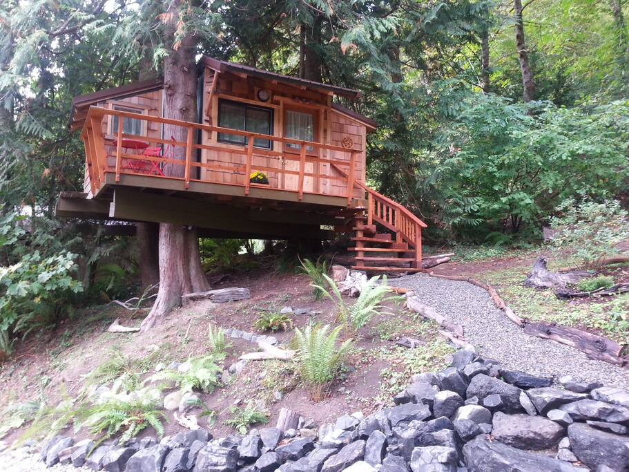 3 Stately Cedars host our Tree House.