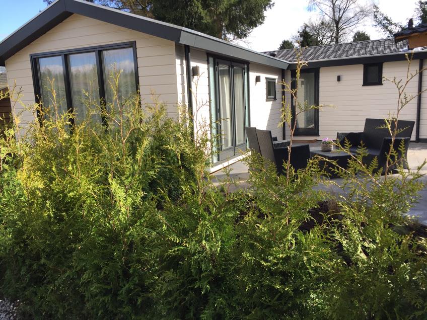 Popular Airbnb listing: Beautiful chalet in a quiet area! in Koudhoorn