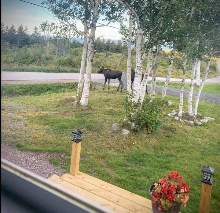 Chéticamp Vacation Rentals & Homes Nova Scotia, Canada Airbnb