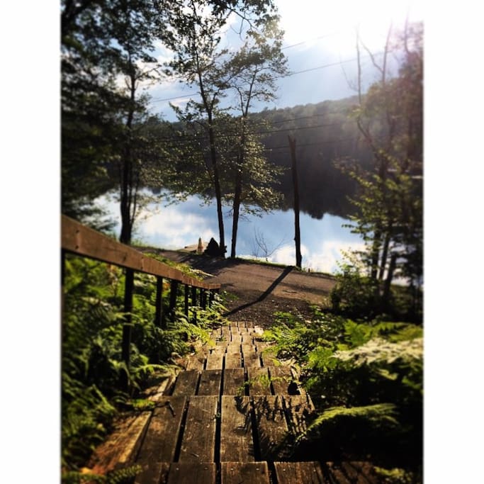 Our Lake