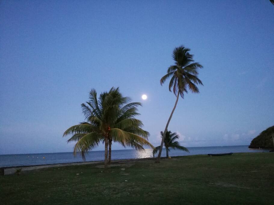 La Pointe Faula