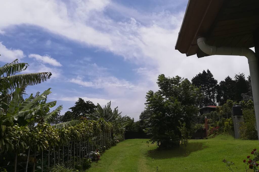 Yard