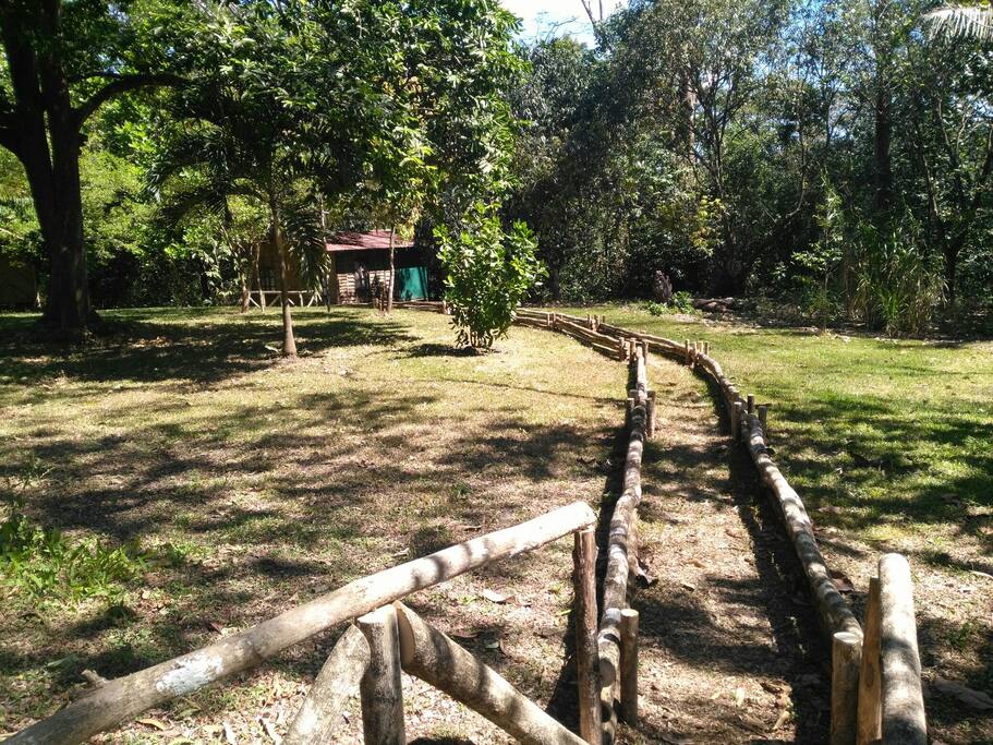 Camino a la cabaña