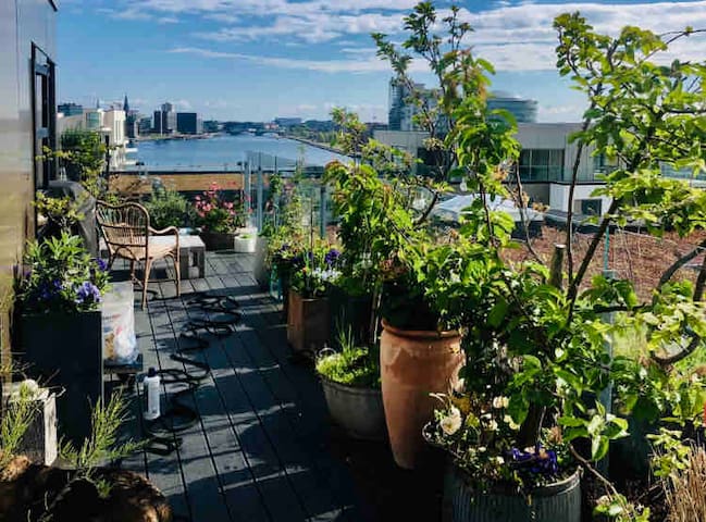 Central Copenhagen penthouse on private Island