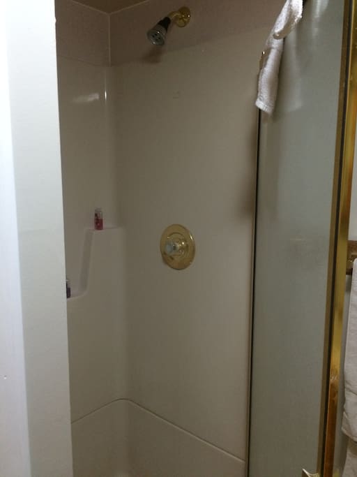 Private bathroom with standing shower