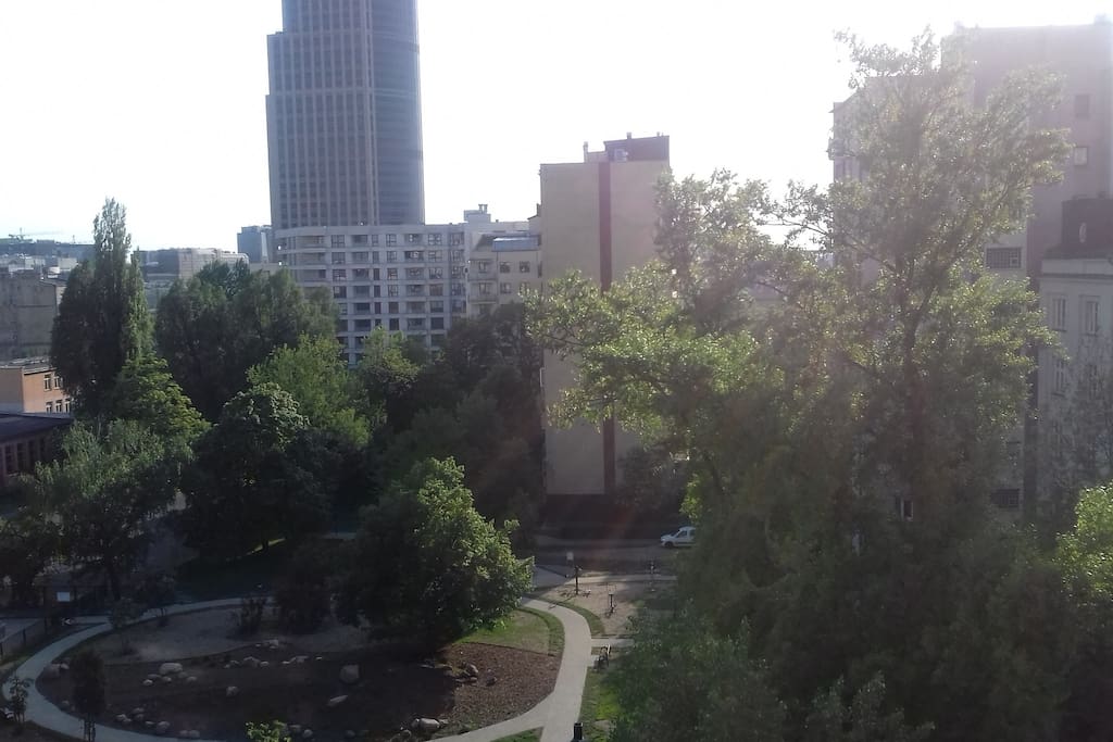 View from the window