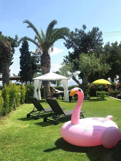 Sea Front Luxury Summer Home in Chalkidiki