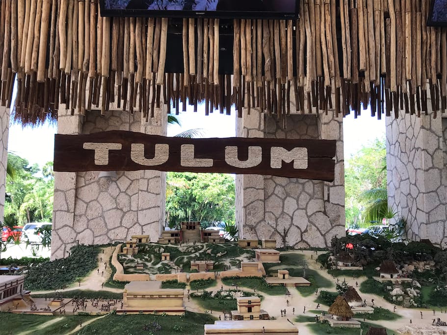 You are in Tulum, so be sure to stop in to Xelha Eco-archeological park.