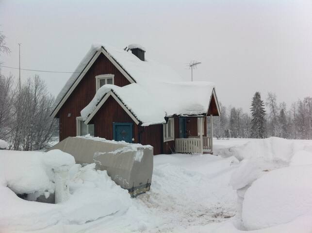 Cozy cottage in a wonderland