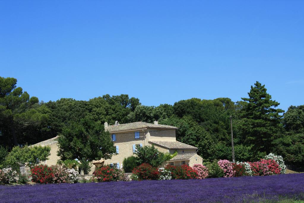 Bastide and oleanders