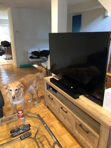 Toronto Tarragona Townhouse