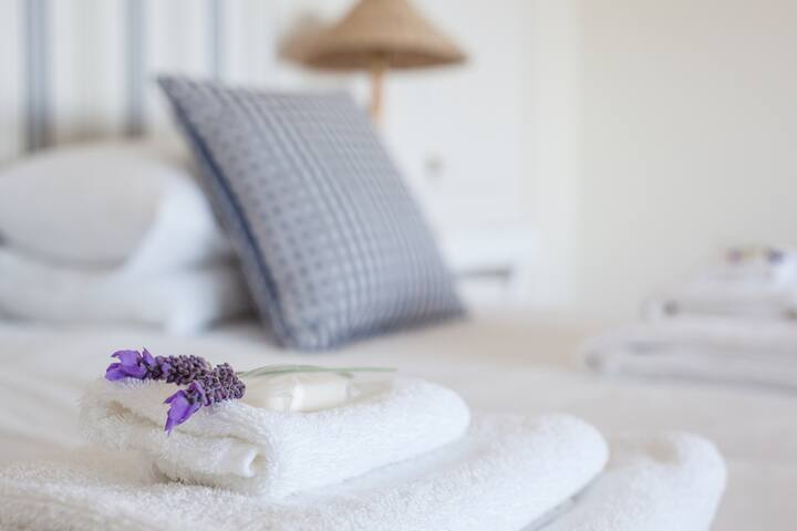 Shearwater – Amazing sea-views 2 bedroom apartment gallery image 3