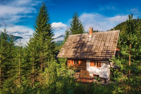 Romantic Cabin in beautiful Alps