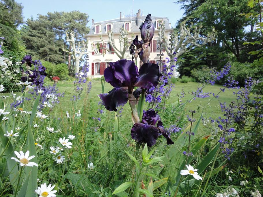 La maison de maître dans son parc