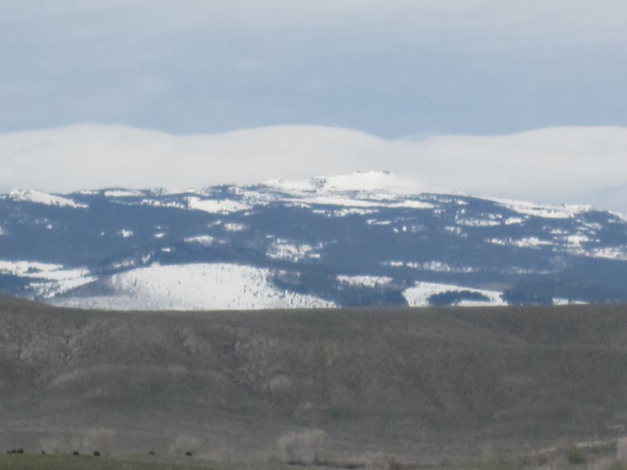 the patio view today!