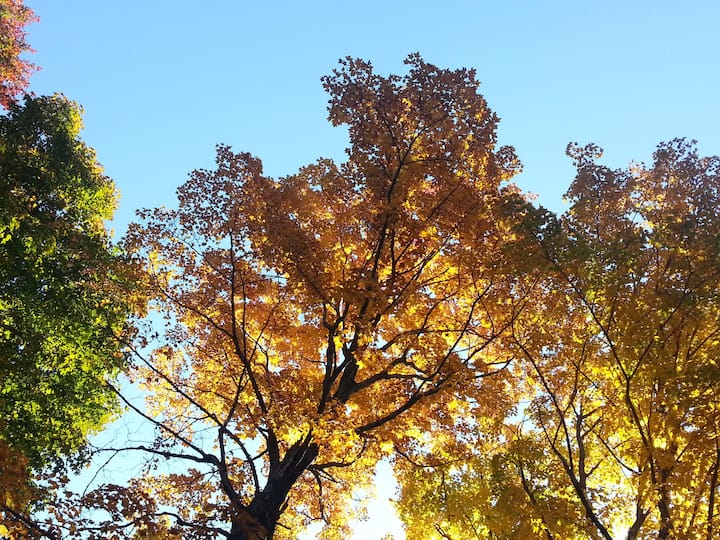 La Visitationdel'ÎleDupas Alquileres vacacionales y alojamientos Quebec, Canadá Airbnb