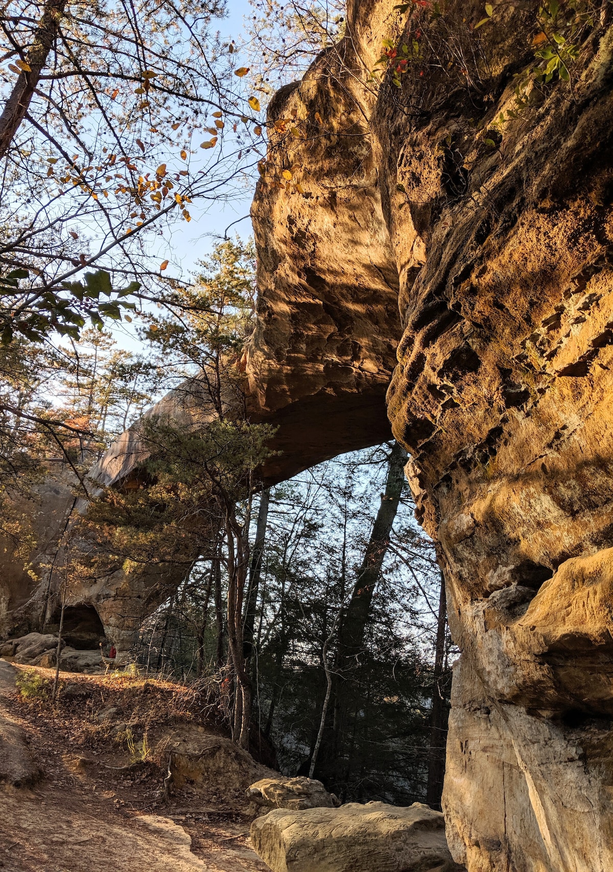 A natural rock arch looms overhead, framed by towering trees and rugged stone formations. Soft sunlight highlights the textured surface of the arch, casting gentle shadows on the forest floor below. The scene captures a peaceful outdoor setting surrounded by nature.