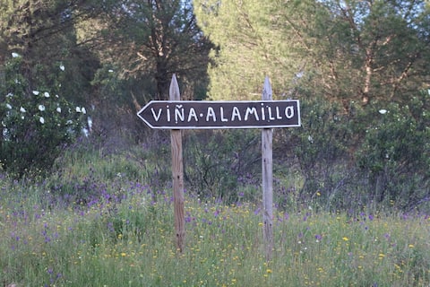 El Alamillo Rural Accommodation