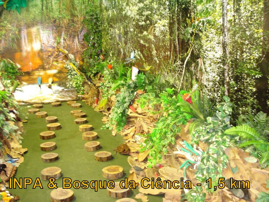 INPA - Institute of Amazonian Research