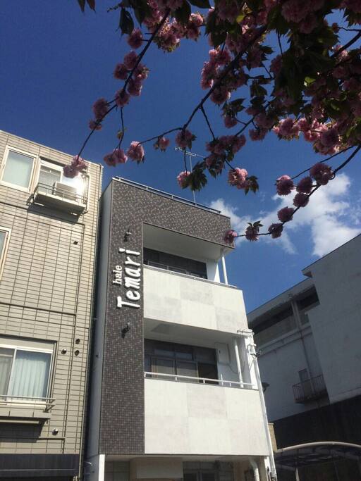 haleてまり 外観