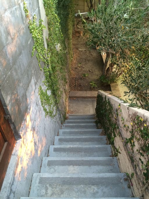 Stairs leading down to my house