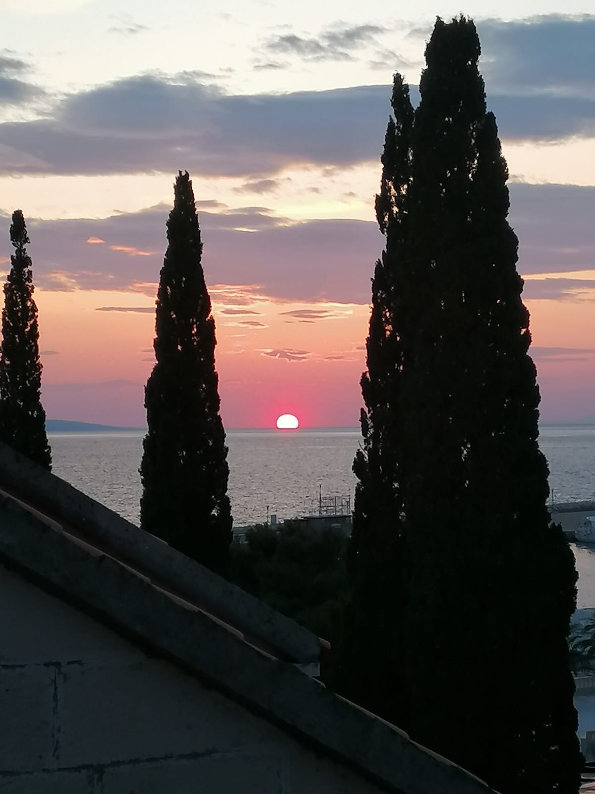 A serene coastal sunset is captured, with the sun dipping just above the horizon of the sea. Tall, slender cypress trees frame the scene, while pastel hues of pink and orange fill the sky, creating a peaceful atmosphere.