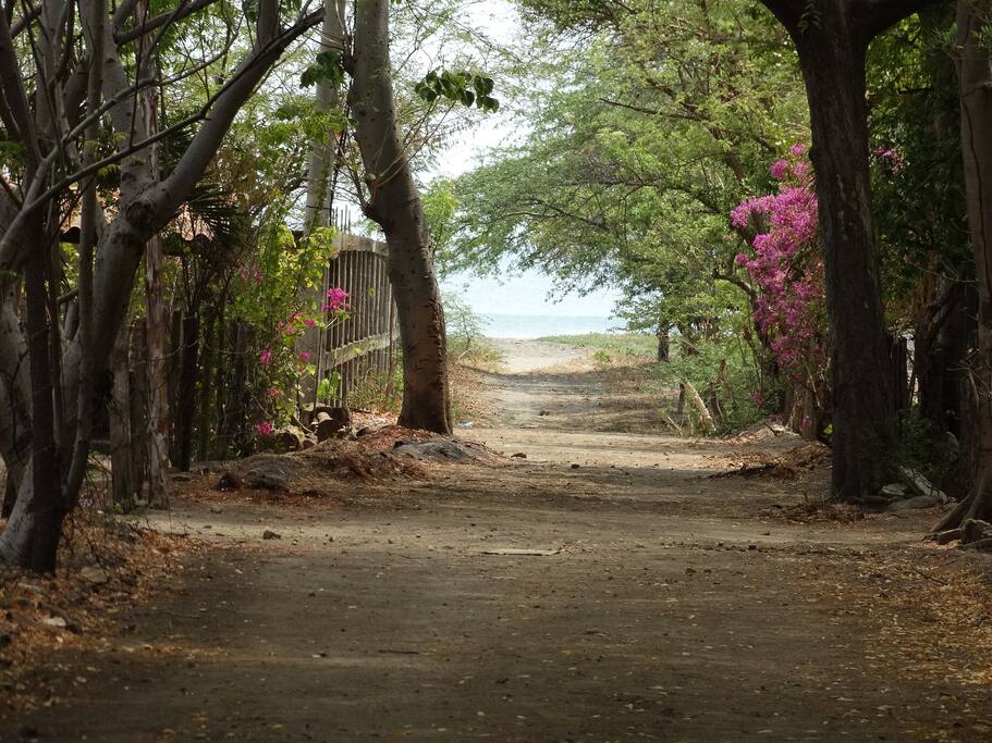 chemin vers la mer