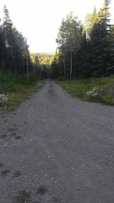 view from the house down the driveway