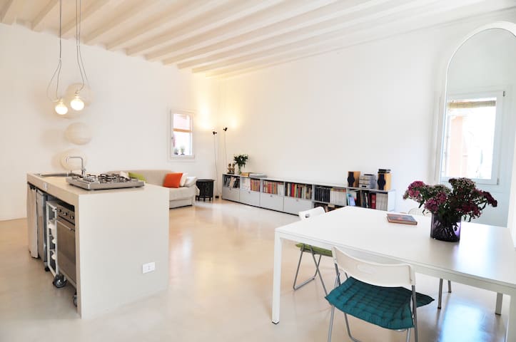 apartment in the center of Venice, canal view