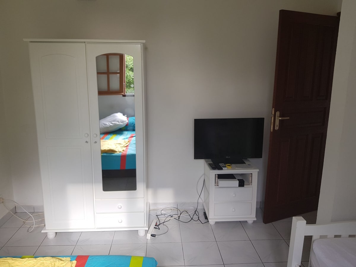 Თქვენს განკარგულებაშია ცარიელი სათავსო, ასევე ტელევიზორი, რომელიც აღჭურვილია Canal +/Satellite-ით