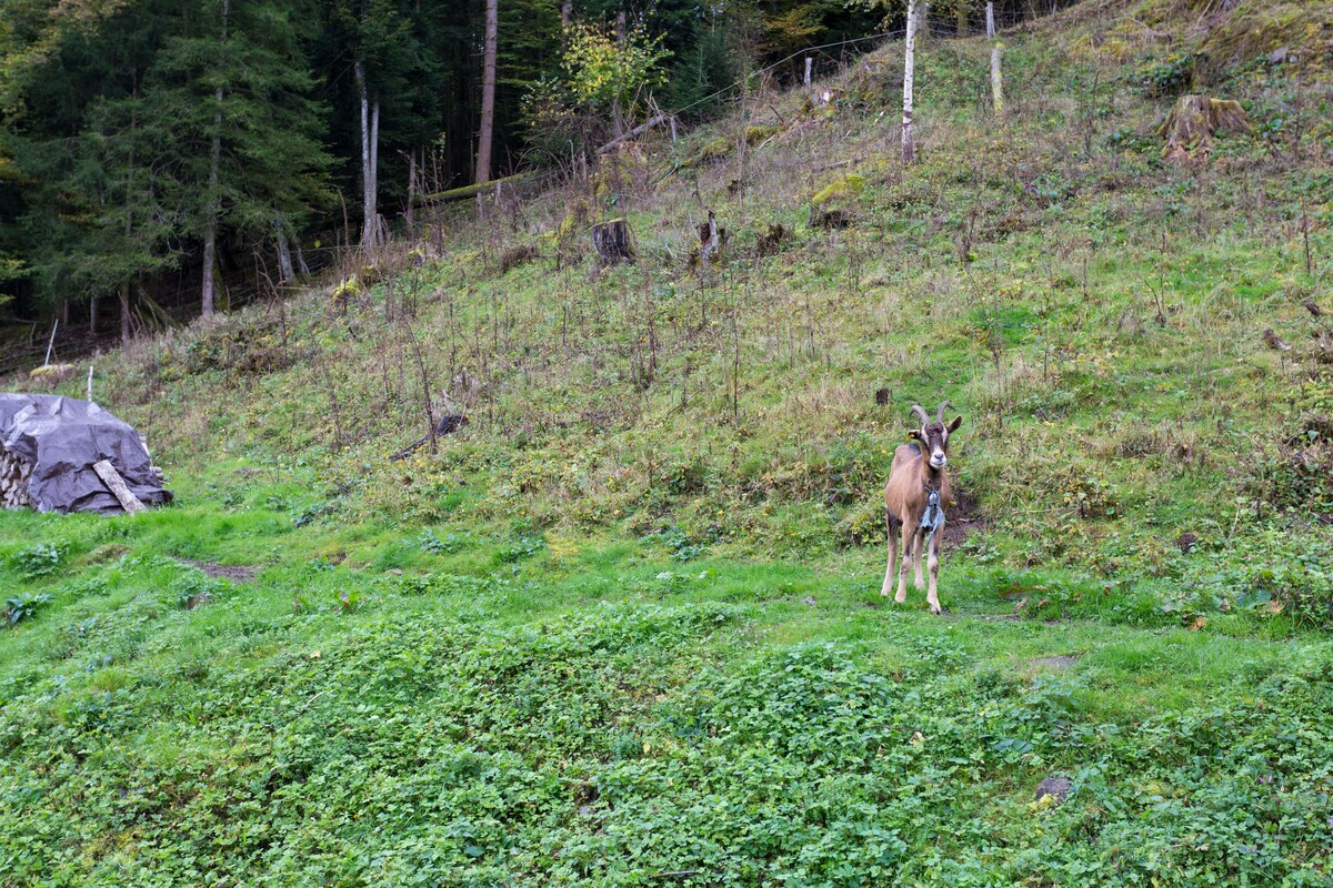 Bref saison 2 torrent complete