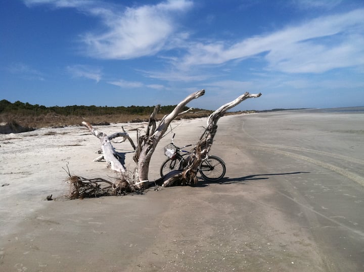 Shellman Bluff Vakantiewoningen en Verenigde