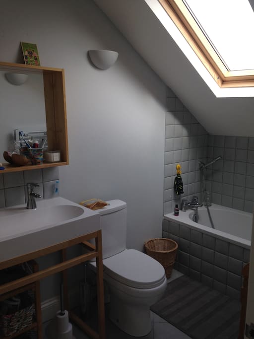 One of two house bathrooms.
