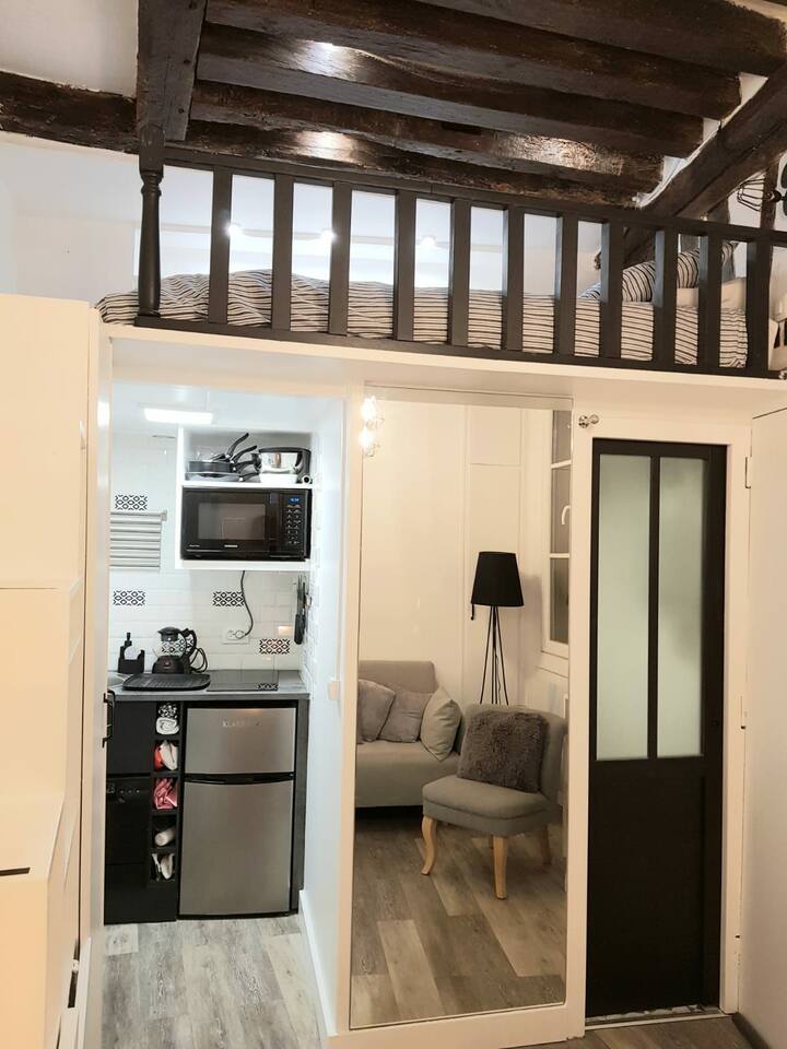 Petit Studio Parisien Au Coeur Du Quartier Latin Apartments For Rent In Paris Ile De France France
