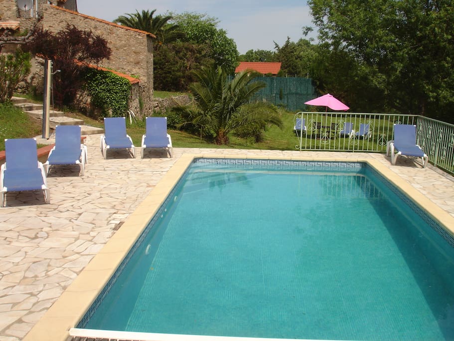 Swimming pool & garden