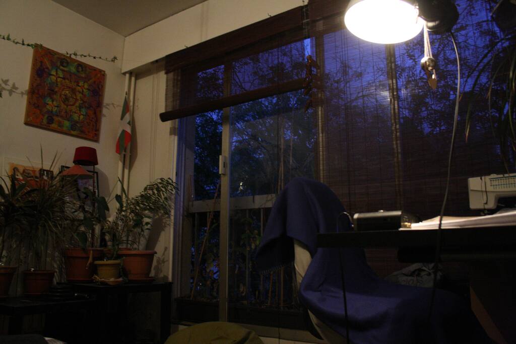Chambre + fenetre