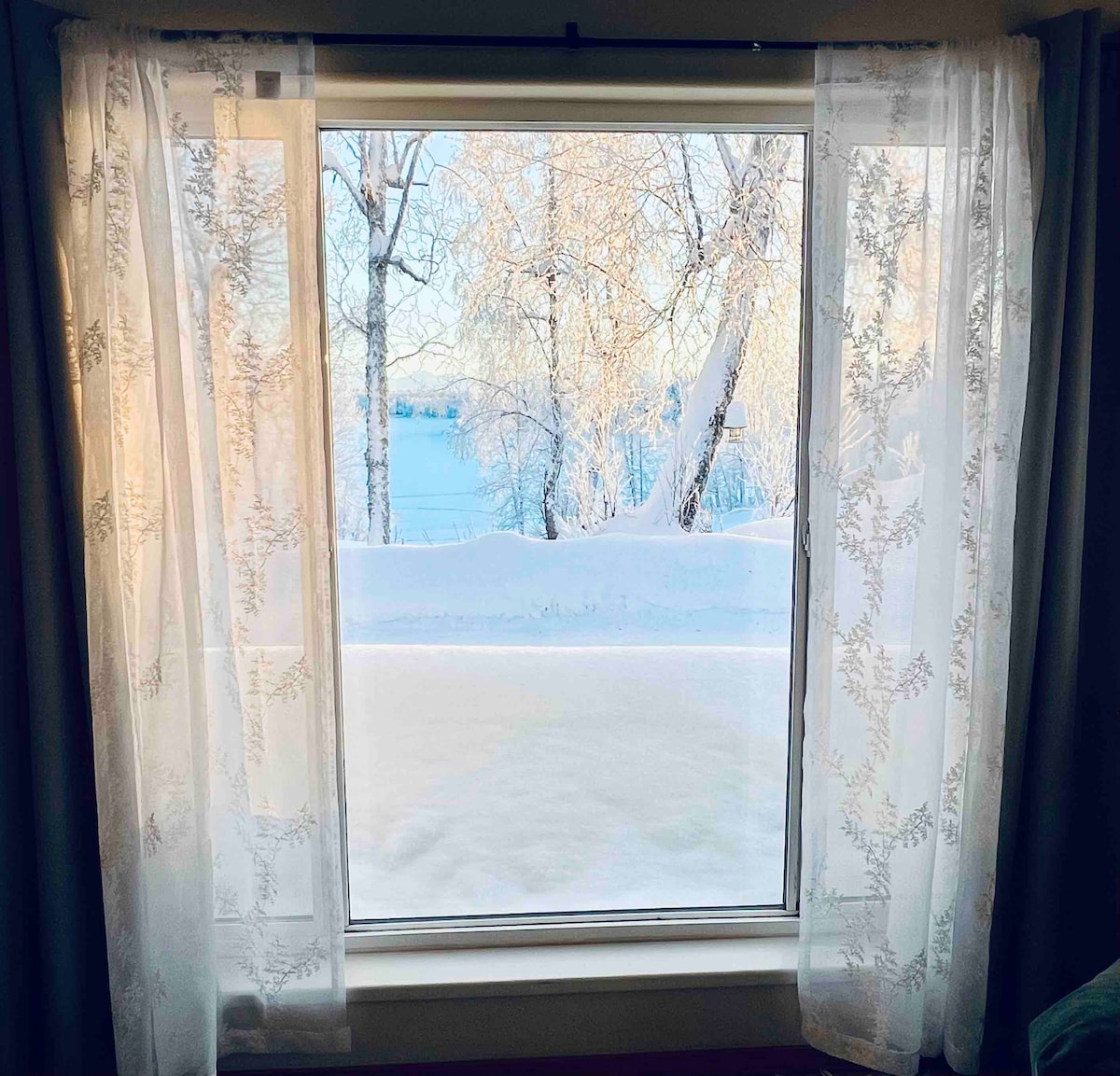 Een duidelijk uitzicht op Carpenter Lake perfect omlijst door het Alaska Blue Moose Cottage raam. 