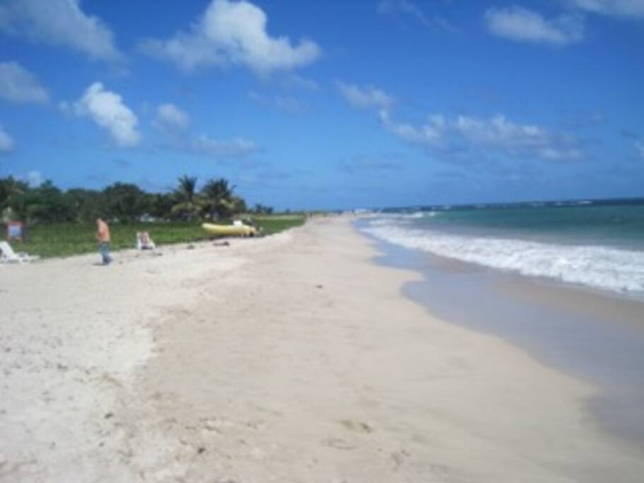 Fabulous Sandy Beach Kite/Windsurf