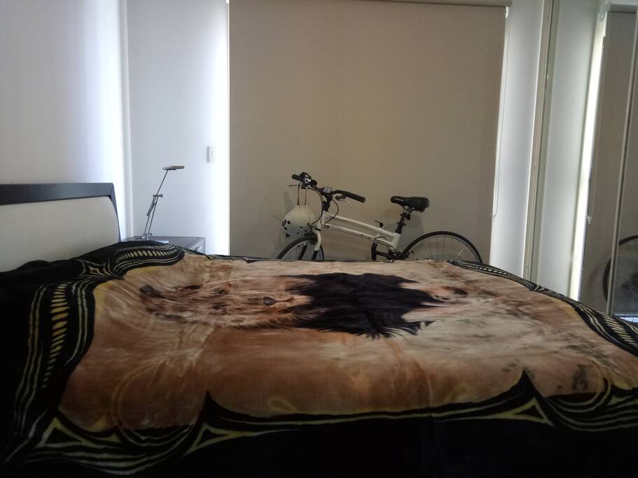 Studio Room For Rent Strathfield Studio Room For Rent Strathfield