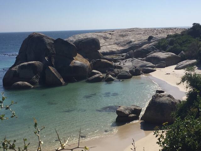 Phoenix Rising – Above Boulders Beach – Simonstown gallery image 5