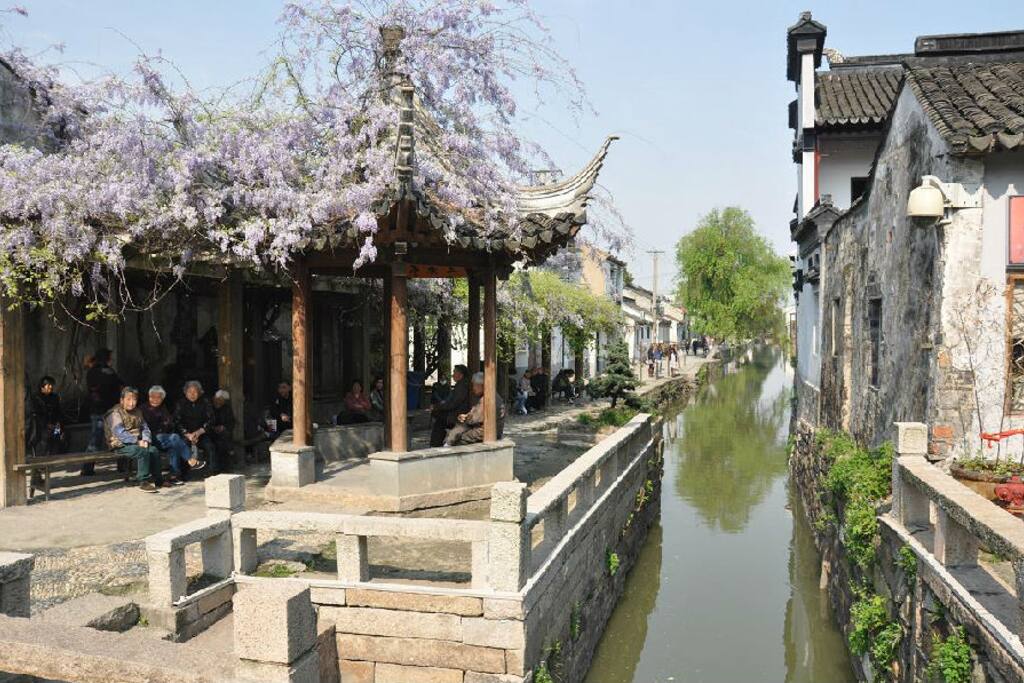 房子位于的弄堂在平江路上的巷子口,春天会爬满紫藤,很美