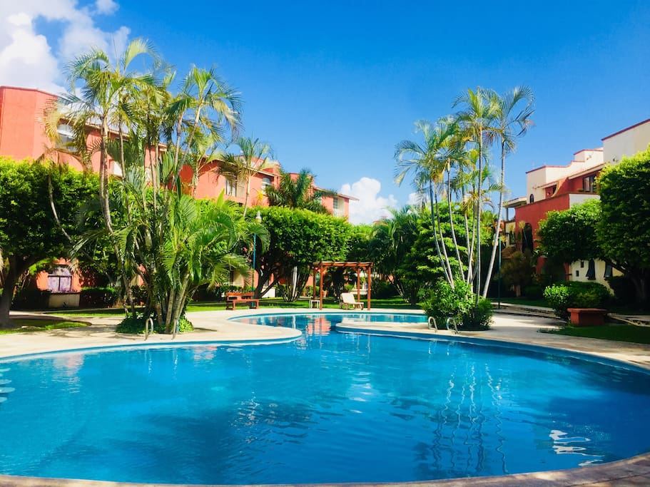 Pool Area / alberca y jardines