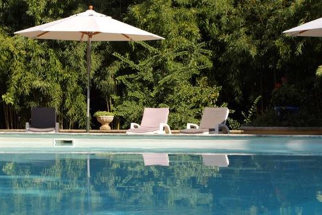 Trés grande piscine Soleil , cigales et forêt de Bambou