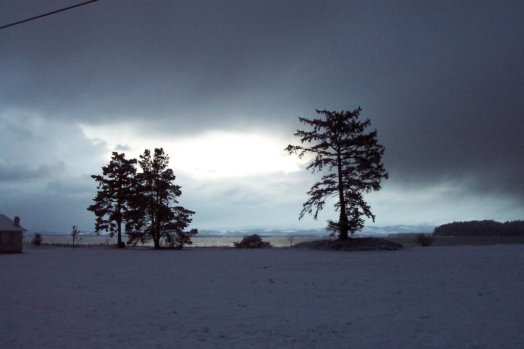 View of Willapa Bay