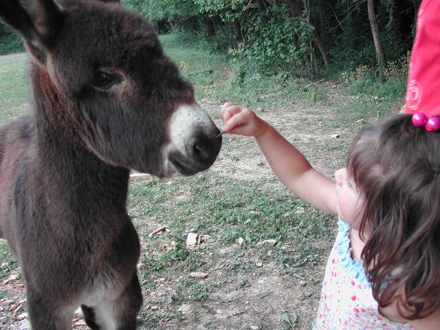 Being together – sleep, celebration-room & kitchen