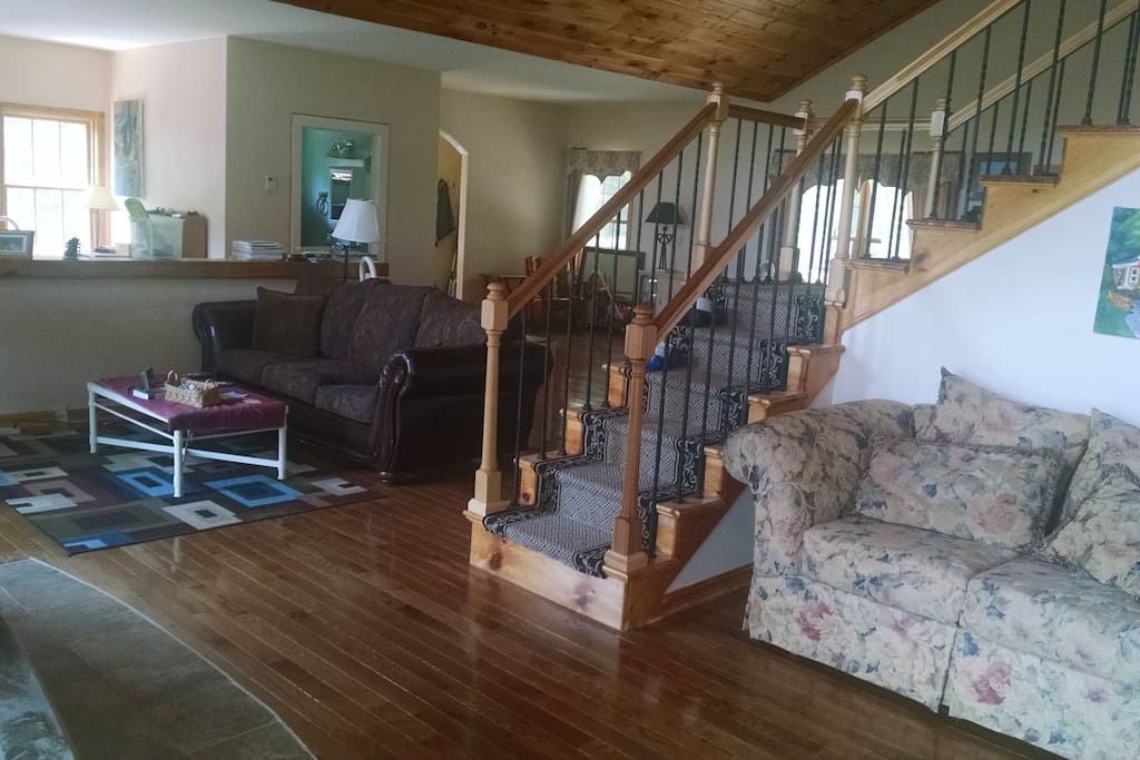 Great room with double bed pull out couch