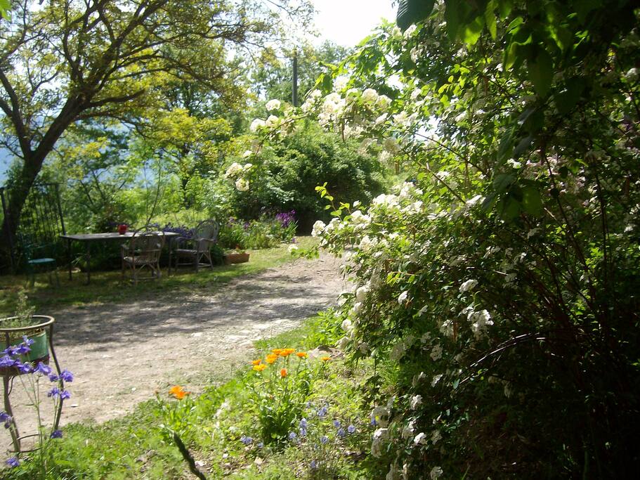 primavera