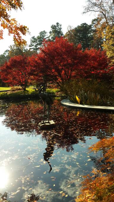 Sarah Duke Gardens, Duke University